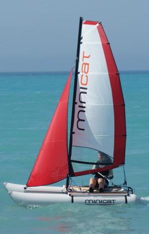 ミニキャット３１０スポーツ